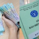 Retirement in 2025: Calculating Your Monthly Pension After 33 Years of Social Insurance Contributions