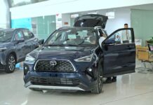 Hybrid Vehicles Gain Market Edge with Tax Incentives