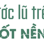 Hanoi Intensifies Efforts to ‘Rescue’ Infrastructure, Urgently Constructs 12 Retention Ponds to Combat Flooding