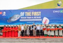 Who’s Behind Vietnam’s First 700-Ton Tilapia Export to Brazil?