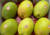 Exotic Australian Fruit Imported to Vietnam Sells for Over Half a Million VND per Kilogram, Outpricing Local Alternatives by Multiples