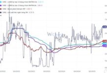 SGI Capital: High Margins, Currency Pressure, and Premium Valuations Pose Hidden Risks