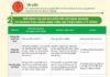 Must-Know Benefits and Considerations for Household Businesses Earning Over 200 Million VND/Year When Switching from Lump-Sum Tax to Declaration Model