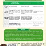 Must-Know Benefits and Considerations for Household Businesses Earning Over 200 Million VND/Year When Switching from Lump-Sum Tax to Declaration Model