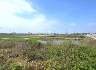 Stunning: Land Plots in Nghe An’s Rural Commune Fetch Over 12 Billion VND Each