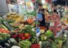 Sky-High Vegetable Prices Persist in Hanoi