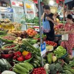 Sky-High Vegetable Prices Persist in Hanoi