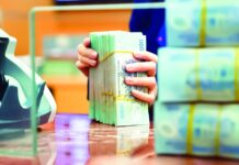 Optimizing Budget Allocation for Preferential Credit Programs