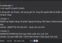 Grayscale’s Dogecoin and XRP ETFs Set to Launch on November 24