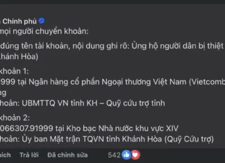 Grayscale’s Dogecoin and XRP ETFs Set to Launch on November 24