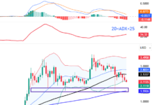 November 2025 Crypto Report (Part 2): Returning to Critical Support Levels?