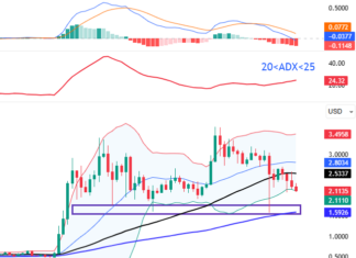 November 2025 Crypto Report (Part 2): Returning to Critical Support Levels?