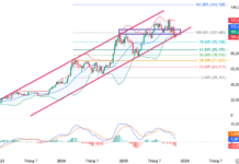 November 2025 Crypto Report (Part 1): A Wave of Negativity Sweeps In