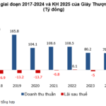 Iconic Family Shoe Stock Surges with 7 Consecutive Circuit-Breaking Rallies