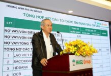 Bầu Đức’s IPO Pledge for Subsidiary: 30% Annual Growth, 50% Profit as Dividends