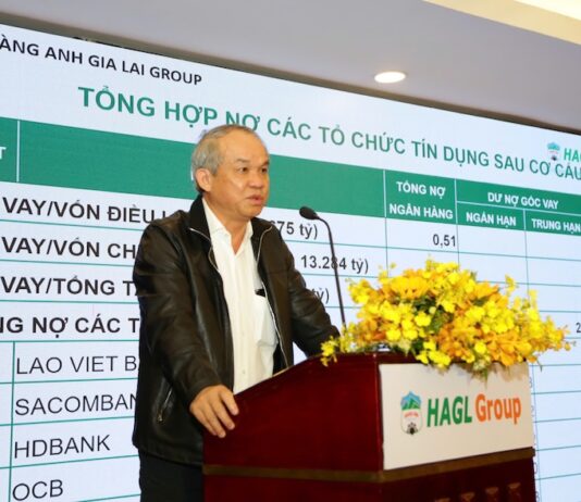 Bầu Đức’s IPO Pledge for Subsidiary: 30% Annual Growth, 50% Profit as Dividends