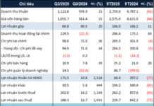 Q3 Profits Surge on Financial Revenue, Yet Hoa Binh Trails Behind After 9 Months