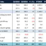 Hydropower Sector Booms: Ha Do Group’s Q3 Net Profit Doubles Year-on-Year