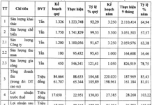 Hòa Bình Rubber Anticipates 92% Plunge in Q4 After-Tax Profit