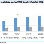 Should You Invest in SZC, BSR, and MWG?