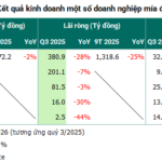 The Bitter Portrait of the Sugarcane Industry