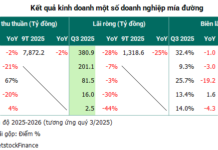 The Bitter Portrait of the Sugarcane Industry