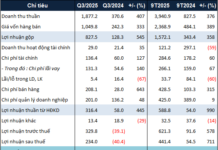Q4 Business Results: Unlocking Nam Long’s Explosive Growth Potential