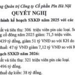 Rabbit Battery Brand Owner Adjusts 2025 Plan Downward