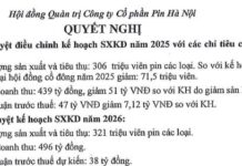 Rabbit Battery Brand Owner Adjusts 2025 Plan Downward