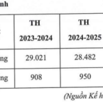 SBT Plans to Raise $43 Million Through Convertible Bond Issuance