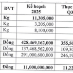 Tân Đại Hưng Plastic Aims to Slash Authorized Capital by Over 25% Through Share Buyback