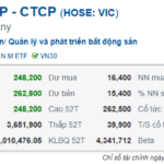 Vietnam’s First Enterprise Surpasses $43 Billion in Market Capitalization