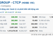 Vietnam’s First Enterprise Surpasses $43 Billion in Market Capitalization