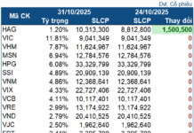 Vietnam’s VN-Index Plunges, Half-Billion-Dollar ETF Buys Only One Stock