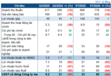 Vinasun’s Profit Decline: A Setback Amid Asset Liquidation