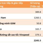 Newly Established 6-Month-Old Company Owns Nearly 10% of Vingroup, Valued at Over $31 Billion
