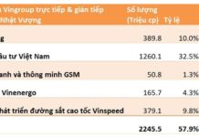 Newly Established 6-Month-Old Company Owns Nearly 10% of Vingroup, Valued at Over $31 Billion