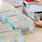 Why Is Credit Growth So High?