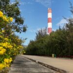 EVNGENCO3: Ensuring Stable and Efficient Operations in the First 10 Months of 2025