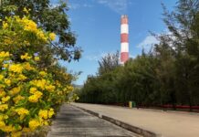 EVNGENCO3: Ensuring Stable and Efficient Operations in the First 10 Months of 2025