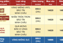 Gold Prices for SJC and Ring Gold Remain Steady on November 1st