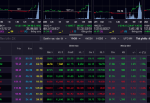 Real Estate Stocks Ride the Wave, Propelling VN-Index to Surge