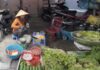 Gia Lai’s Empty Market Shelves Force Locals to Scavenge for Scarce Vegetables
