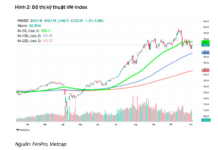 Vietcap Forecasts Three Scenarios for VN-Index in November, Highlighting Stocks with Positive Growth Potential