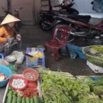 Gia Lai’s Empty Market Shelves Force Locals to Scavenge for Scarce Vegetables