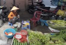 Gia Lai’s Empty Market Shelves Force Locals to Scavenge for Scarce Vegetables