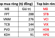 Foreign Investors Net Sell Over VND 1.2 Trillion in Session 13/11, Heavily Offloading “Bank, Securities” Stocks