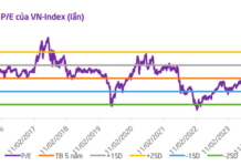 Three Key Factors Supporting the Stock Market in the Coming Period, According to Securities Companies
