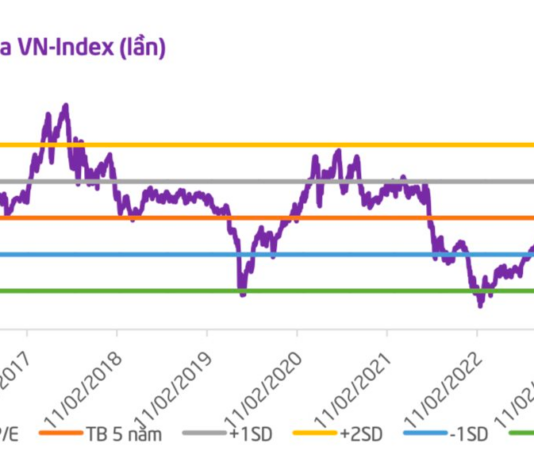 Three Key Factors Supporting the Stock Market in the Coming Period, According to Securities Companies