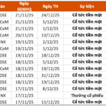 Upcoming Dividend Ex-Dates (Nov 17–21): Highest Cash Dividend at 80%, Industry Titan Set to Distribute Over VND 6 Trillion in Dividends